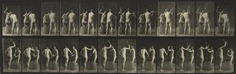 EADWEARD MUYBRIDGE (1830-1904) A selection of 7 plates from Animal Locomotion of men engaged in various activities.